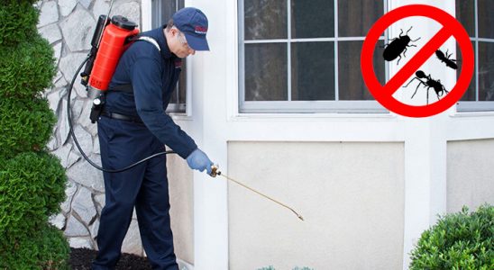 Karayazı Karınca İlaçlama böcek ilaçlama ve haşere kontrolü — ilaclama-tr.com